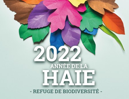 Illustration de l'actualité - cliquer pour agrandir