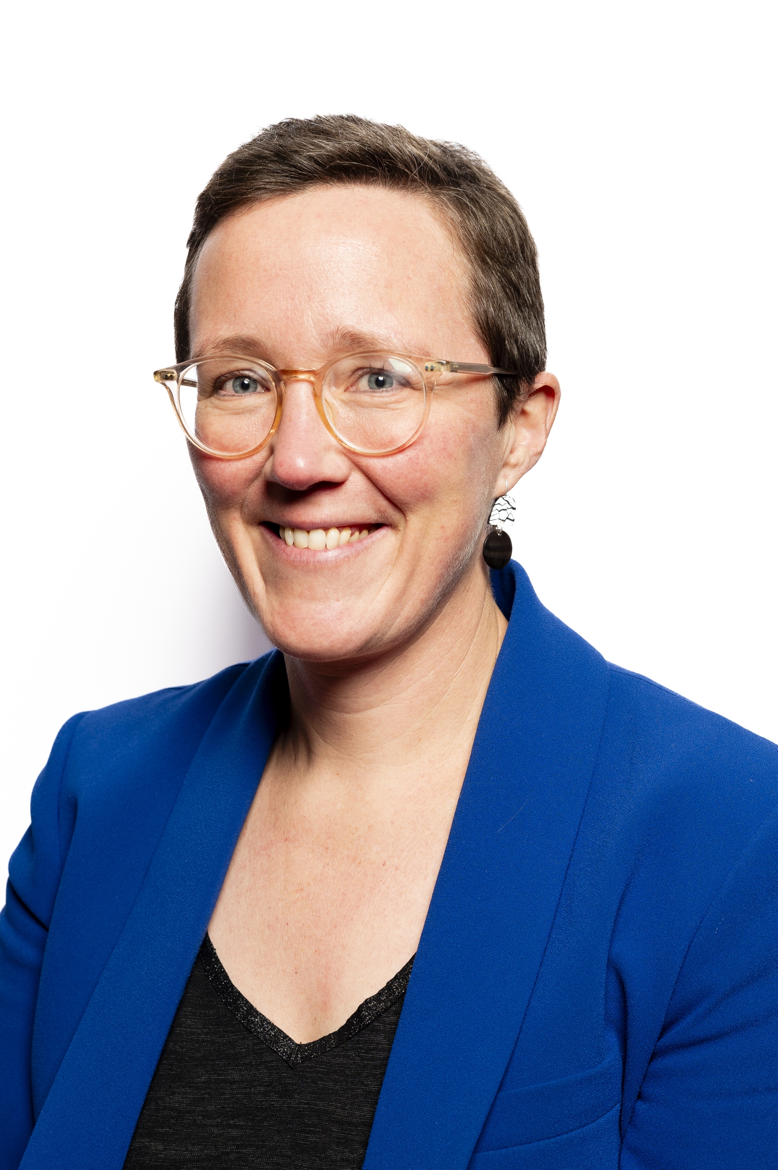 Anne-Laure Desmit